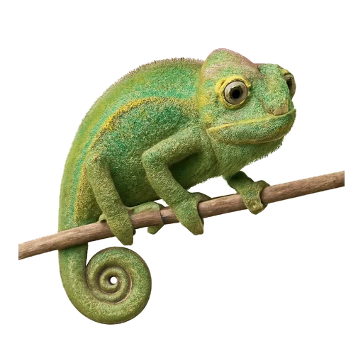 Un camaleonte