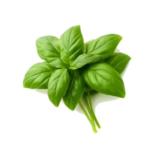 Del basilico