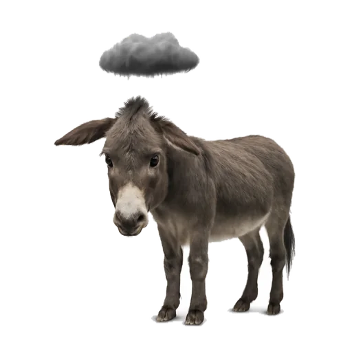 Illustrazione: pessimista