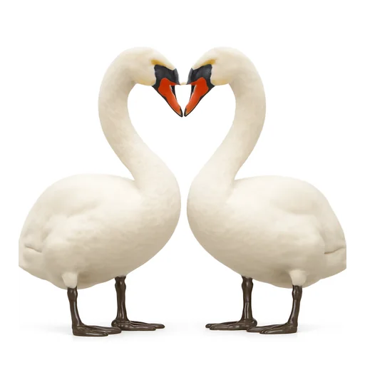 Illustrazione: romantico