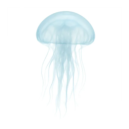 Illustrazione: trasparente