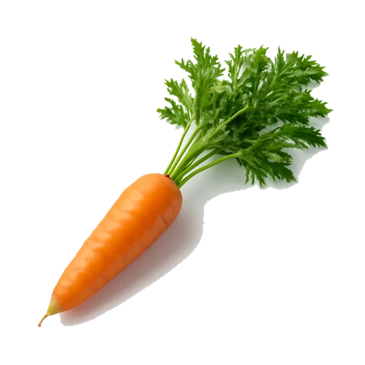 Una carota