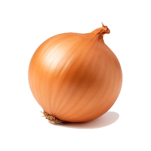 Una cipolla