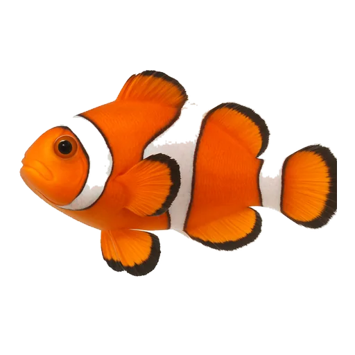 Arancione