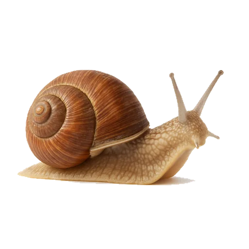 La spirale
