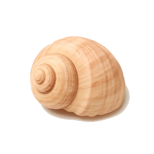 Una concha