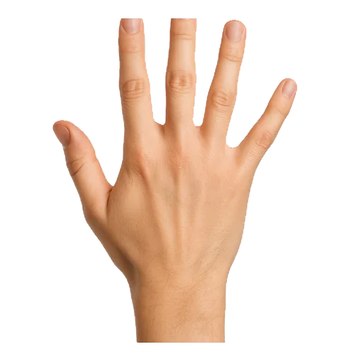La mano