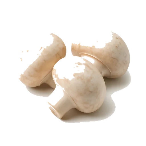 Dei funghi