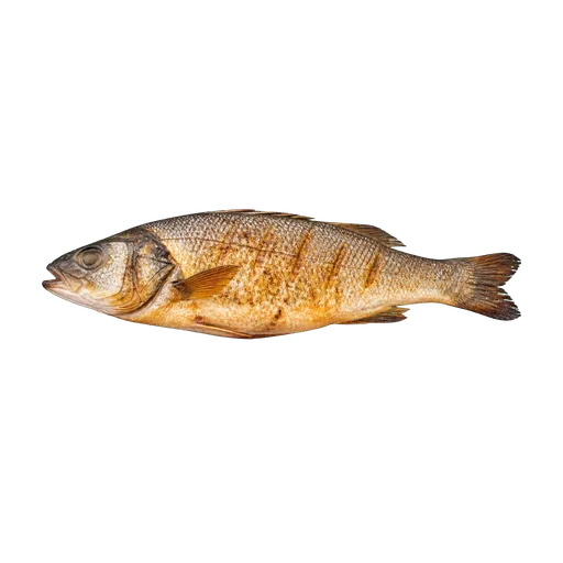 Un pesce