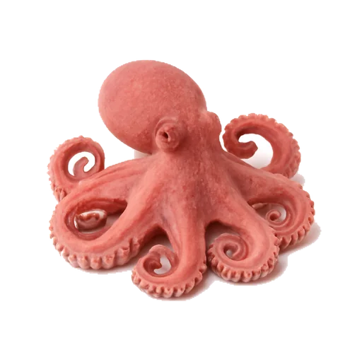 Un pulpo