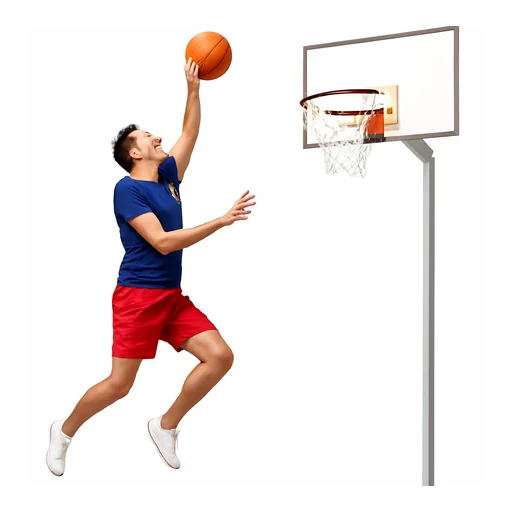 La pallacanestro