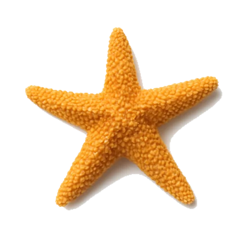 Una estrella de mar