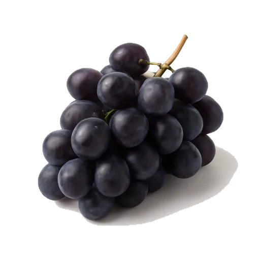 Dell’uva