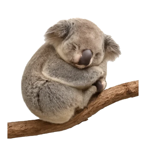 Illustrazione: dormire