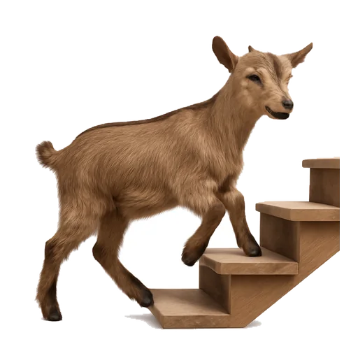 Illustrazione: salire